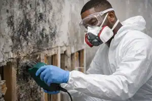 Mold Remediation in Boston MA | Mold Removal Near You